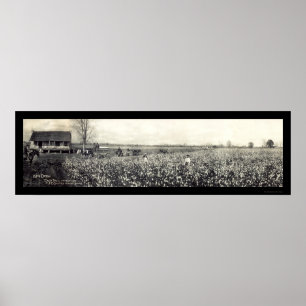 Poster Photo 1907 de travail sale du Roi