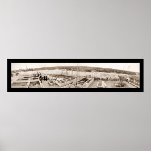 Poster Photo 1910 de la Floride de ferme d'alligator