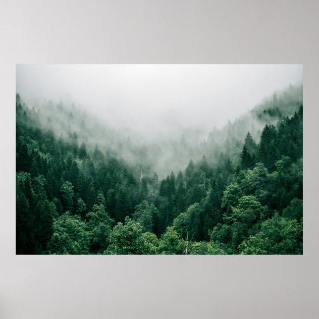 POSTER PHOTO AÉRIENNE D'ARBRES VERTS (Devant)