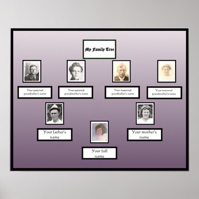 Poster Photo arbre de famille Bordure noire sur dégradé v (Devant)