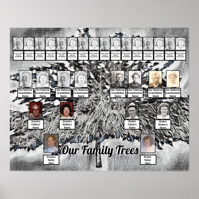 Poster Photo Arbres de famille sur Art numérique noir et  (Devant)