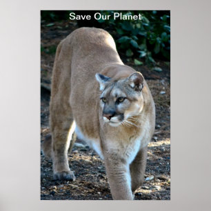 Poster photo Cougar "Save Our Planet"