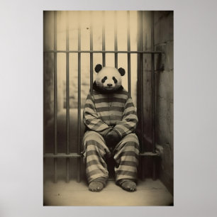 Poster Photo d'animal vintage de panda drôle en prison