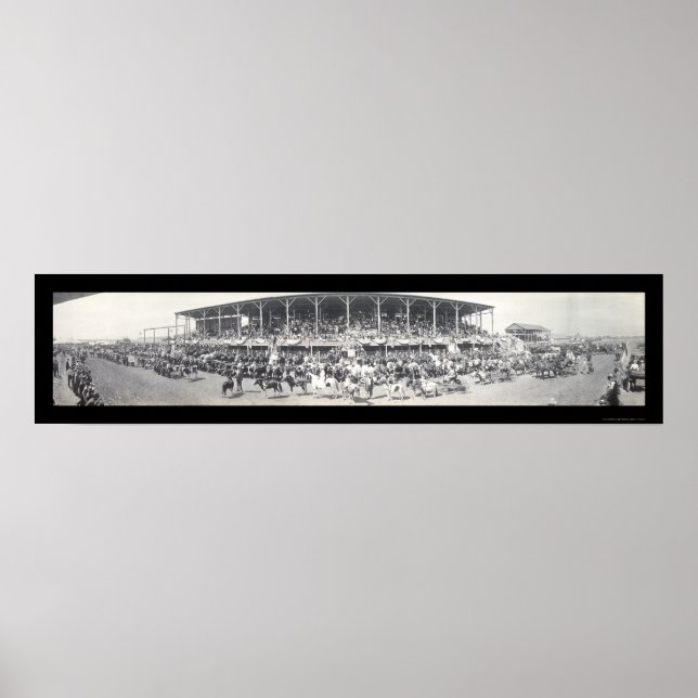 Poster Photo de bovins Sedalia MO 1911 (Devant)