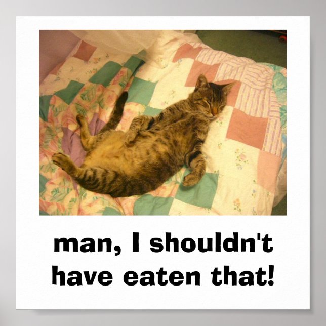 Poster photo de chat idiot (Devant)