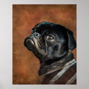 Poster Photo de chien de Carlin noir