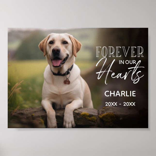 Poster Photo de compagnie personnalisé en mémoire (Devant)