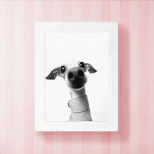 Poster Photo de compagnie personnalisée moderne Meeko