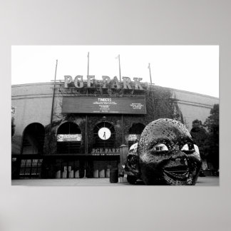 Poster photo de desilva