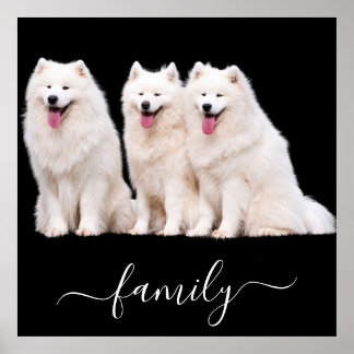 Poster Photo de famille Amoureux des chiens