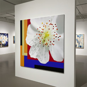 Poster Photo de fleur blanche de printemps en gros plan