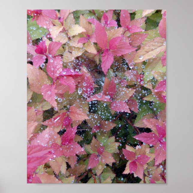 Poster Photo de fleurs (Devant)