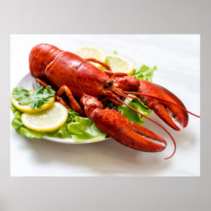 Poster Photo de homard