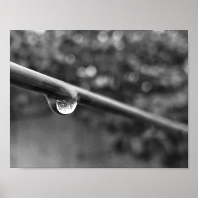 poster photo de la goutte d'eau noire et blanche (Devant)