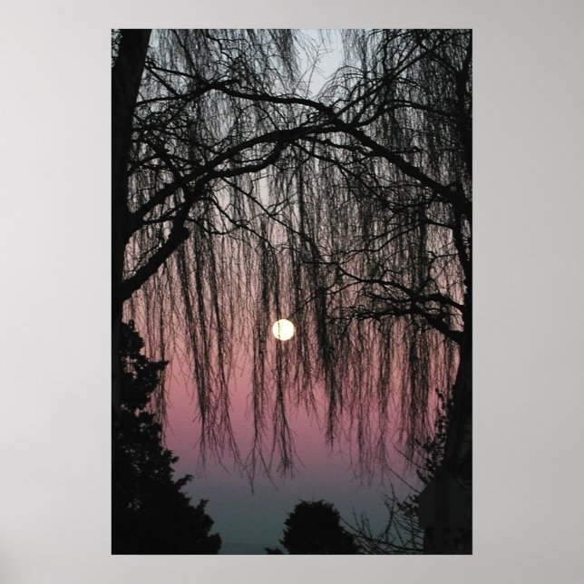 Poster Photo de la lune à travers les arbres (Devant)