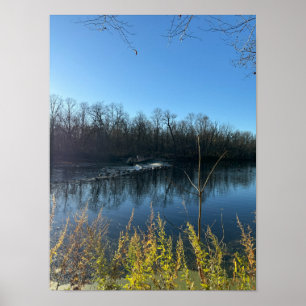 Poster photo de l'arbre Réflexions