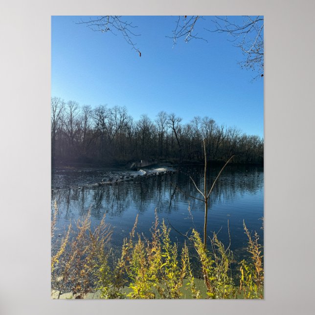 Poster photo de l'arbre Réflexions (Devant)
