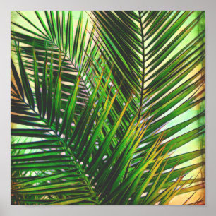 Poster photo de palmier tropical dans les tons verts