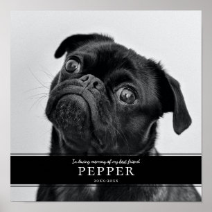 Poster Photo de souvenir de chien moderne en souvenir aim