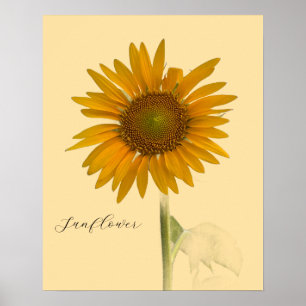 Poster photo de tournesol