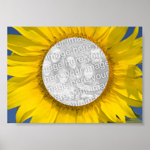 Poster Photo de Tournesol