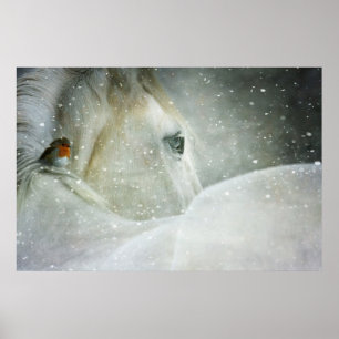 Poster Photo de White Horse and Bird en hiver
