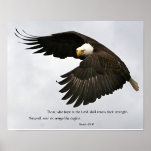 Poster Photo d'Eagle avec le vers de bible
