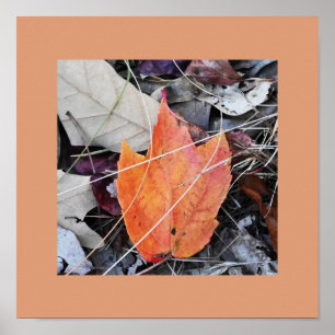 Poster photo des feuilles d'automne