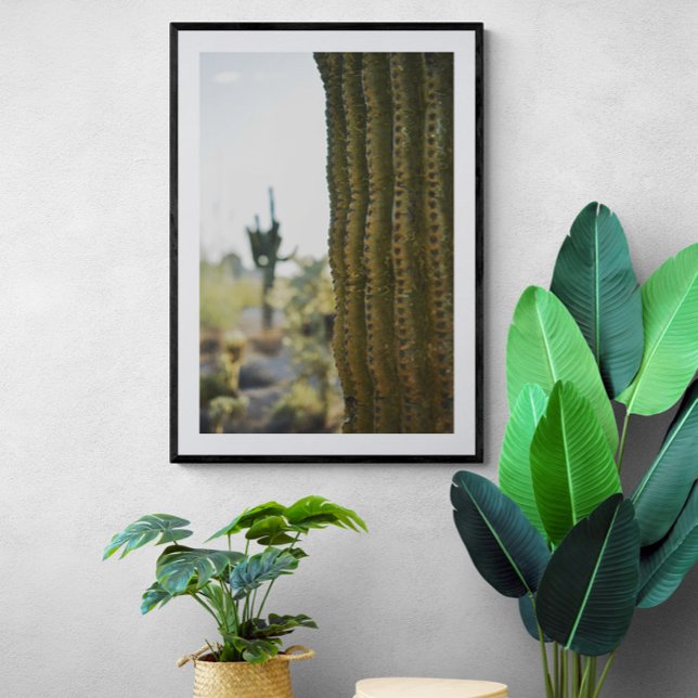 Poster photo Desert Cactus (Créateur téléchargé)