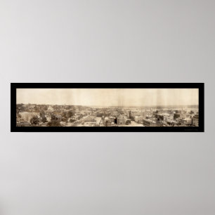 Poster Photo d'oiseau Davenport IA 1907