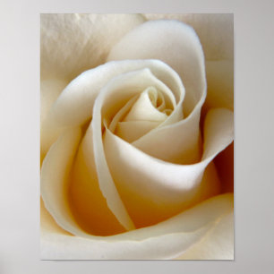 Poster Photo du Mariage Rose de crème
