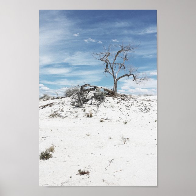Poster Photo du parc national White Sands Zion (Devant)