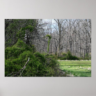 Poster photo du paysage