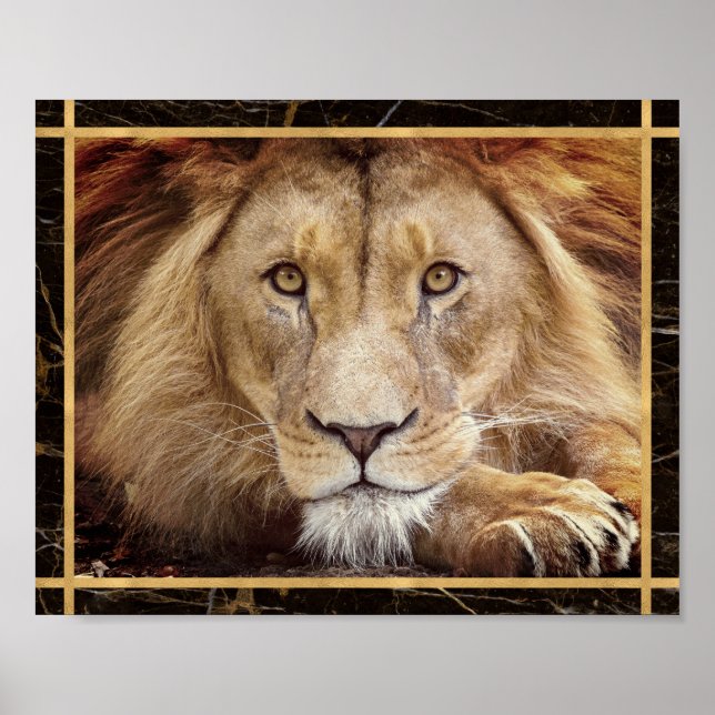 Poster Photo du visage du lion Photo de l'image Imprimer  (Devant)