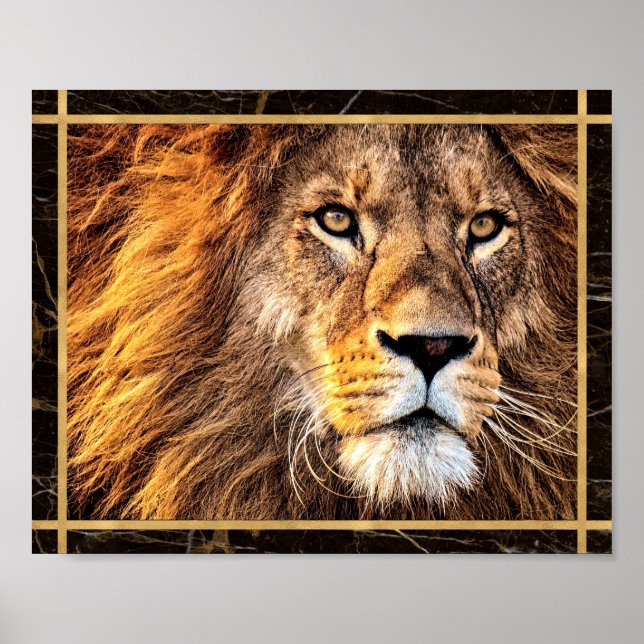 Poster Photo du visage du lion Photo Imprimer l'affiche (Devant)