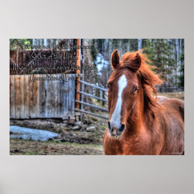 Poster Photo et poème de Dun Ranch Horse (Devant)