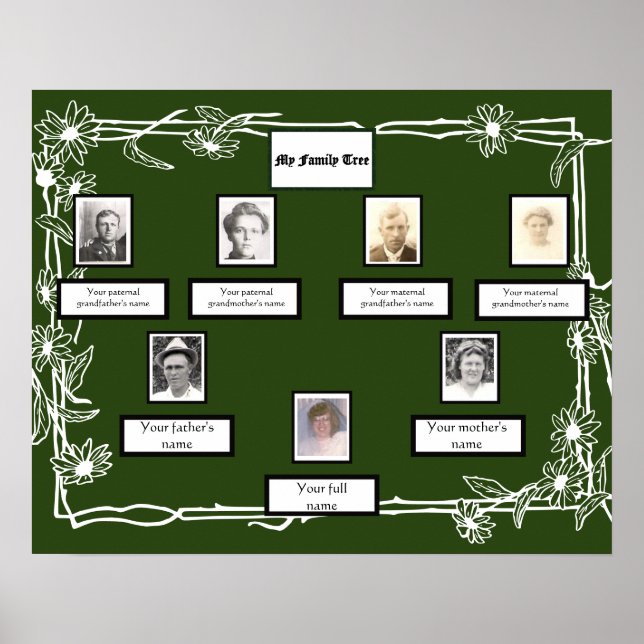 Poster Photo Family Tree Daisy Art Bordure en vert (Devant)