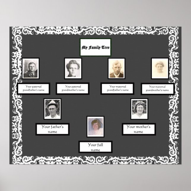 Poster Photo Family Tree dentelle regarder la frontière s (Devant)