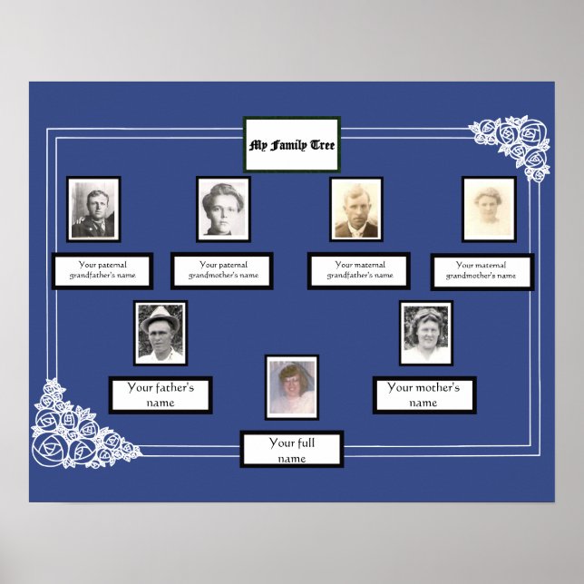 Poster Photo Family Tree Rose Dessin bordure en bleu (Devant)