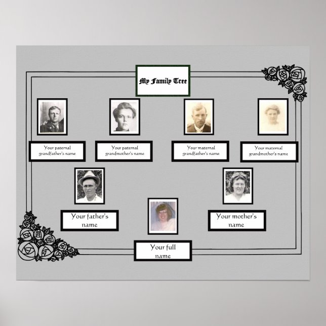 Poster Photo Family Tree Rose Dessin de la bordure en gri (Devant)
