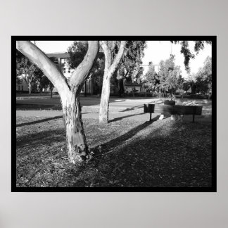 Poster photo IV portfolio #5