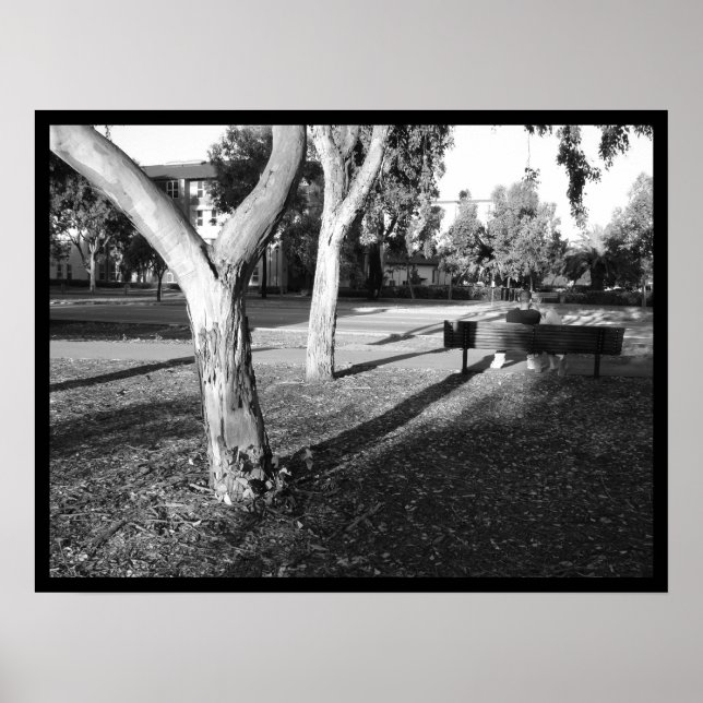 Poster photo IV portfolio #5 (Devant)