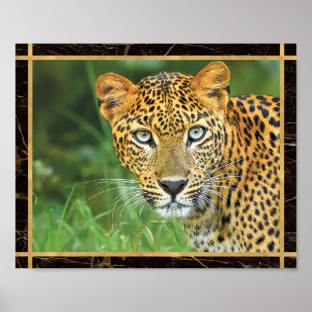 Poster Photo Leopard Closeup Imprimer l'affiche (Devant)