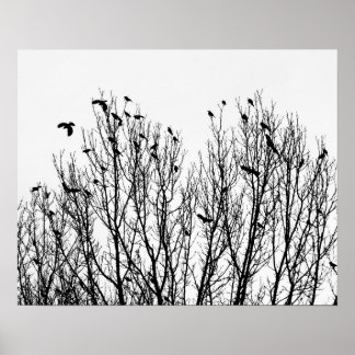 Poster Photo minimaliste en noir et blanc d'oiseaux dans 
