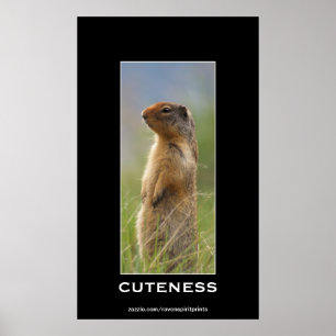 Poster photo Motivation de la faune de la marmotte