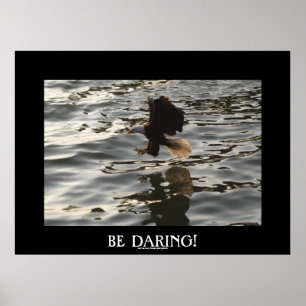 Poster photo Motivationnel de l'aigle à tête blanc