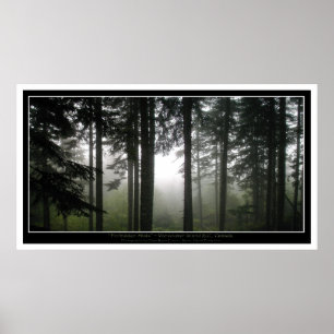 Poster photo mystique de la Forêt Misty
