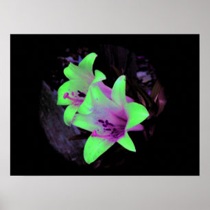 Poster photo Neon Lilies / Imprimer