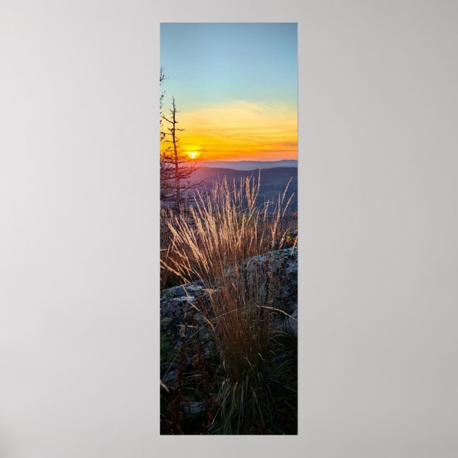 Poster photo of a mountainous autumn forest, mountains, p (Devant)