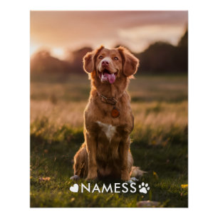 Poster Photo personnalisée avec le nom de votre chien